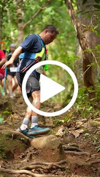 BIB:  <button type="button" onclick="openModal(27585548)" class="btn btn-primary btn-sm float-right" data-toggle="modal" data-target=".modal-high-quality">
                <i class="fa fa-download"></i> Download
                </button>